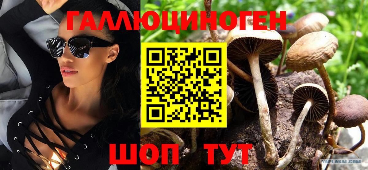 Псилоцибиновые грибы GOLDEN TEACHER Урюпинск