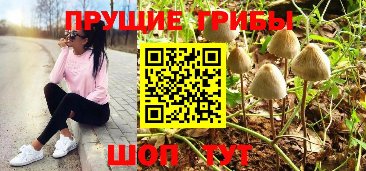 Псилоцибиновые грибы ЛСД  даркнет сайт  Вход с VPN  Урюпинск  Галлюциногенные грибы GOLDEN TEACHER 